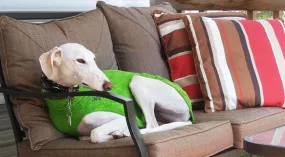 Long & Lean Dog Cooling Soaker Coat / Bath Robe