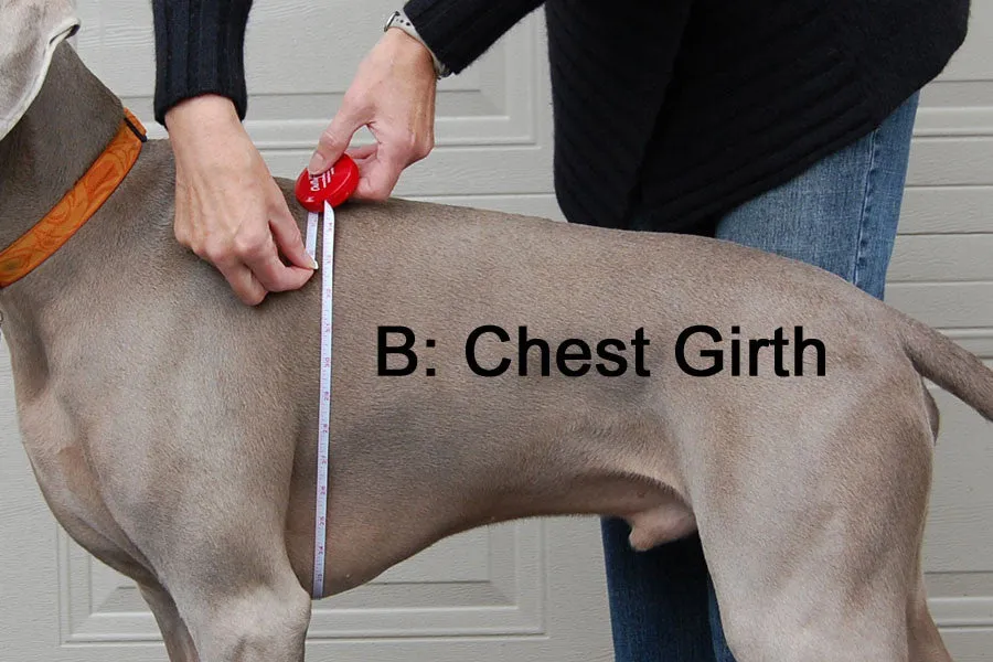 Long & Lean Dog Cooling Soaker Coat / Bath Robe