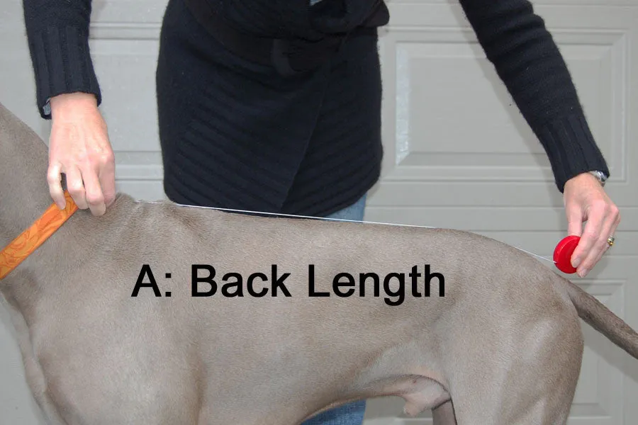 Long & Lean Dog Cooling Soaker Coat / Bath Robe