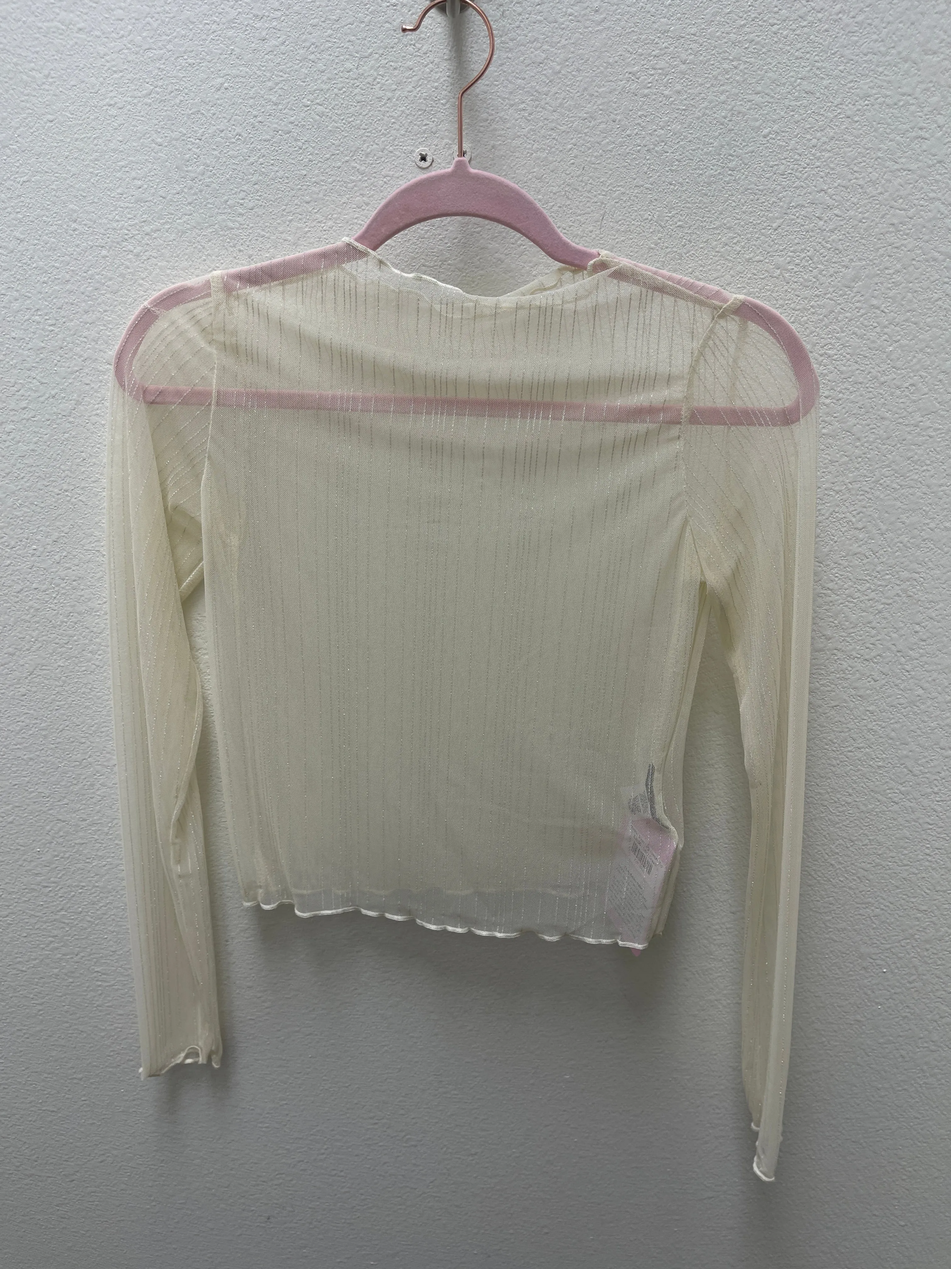 Metallic Sheer Lace Stretchy Top
