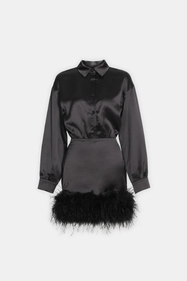 Mini Shirt Dress