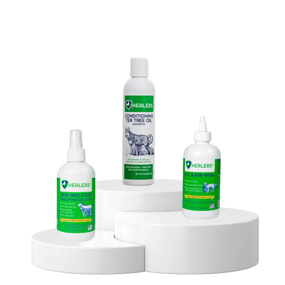 Skincare Essentials Kit