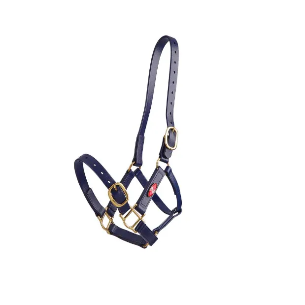 Zilco 25mm PN Halter